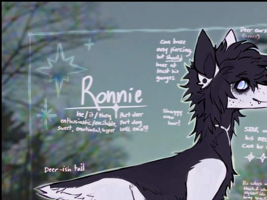 ronniesgallery/rgallery7 screenshot