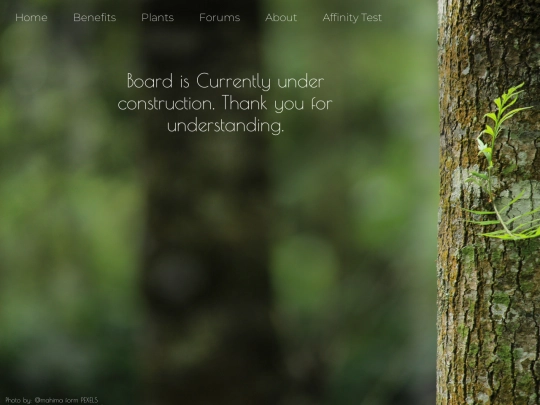 board screenshot