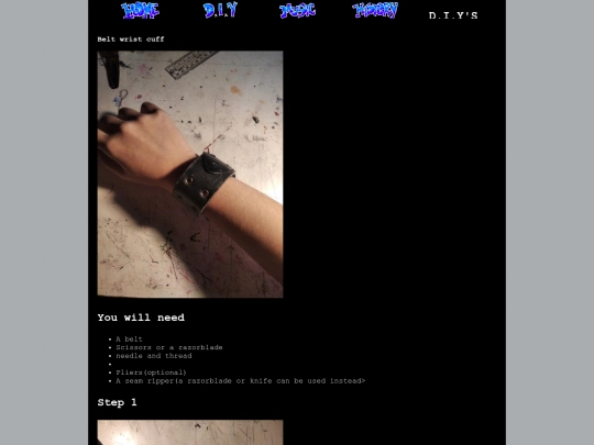 DIYS screenshot