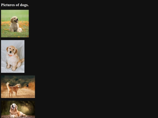 dogs screenshot