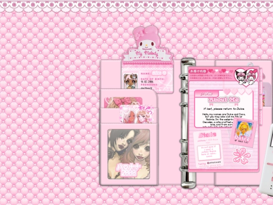 diary screenshot
