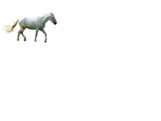 THERIP/therip screenshot