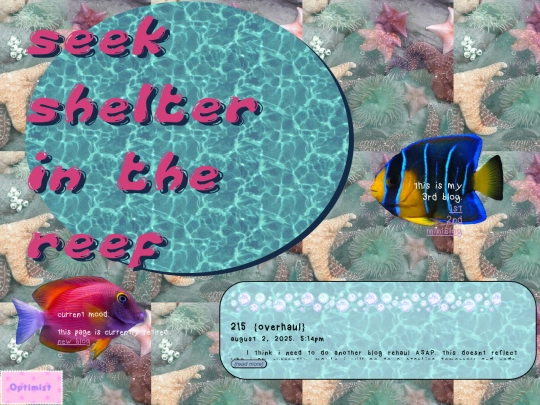 blog3/reef screenshot