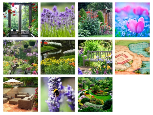 gallery screenshot