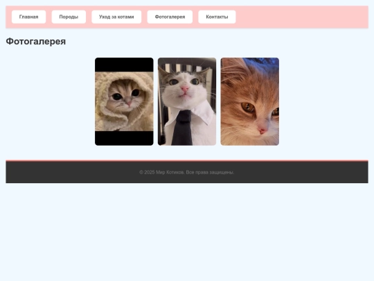 gallery screenshot