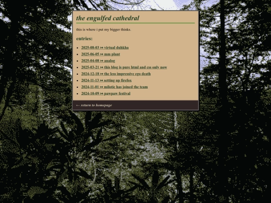 blog screenshot