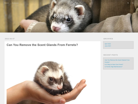 can-you-remove-the-scent-glands-from-ferrets screenshot