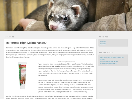 is-ferrets-high-maintenance screenshot
