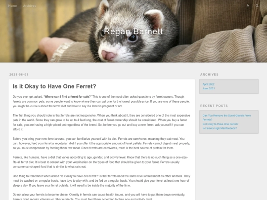 is-it-okay-to-have-one-ferret screenshot