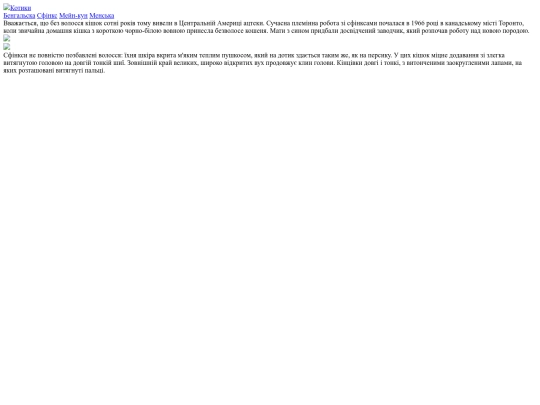 page2 screenshot