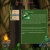 nettleshade.neocities.org avatar