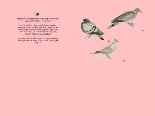 pigeon/secret screenshot