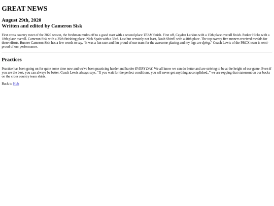 newshub/csnewsarticle screenshot