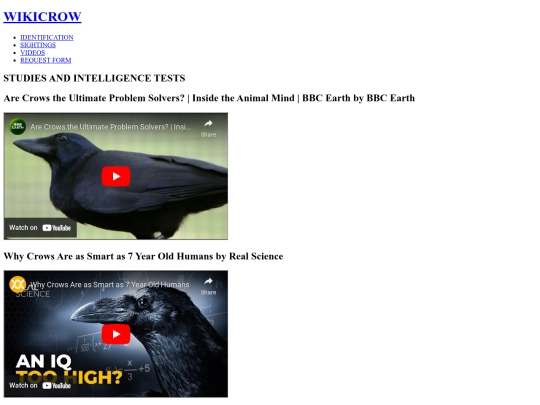 RELATEDVIDEOS screenshot