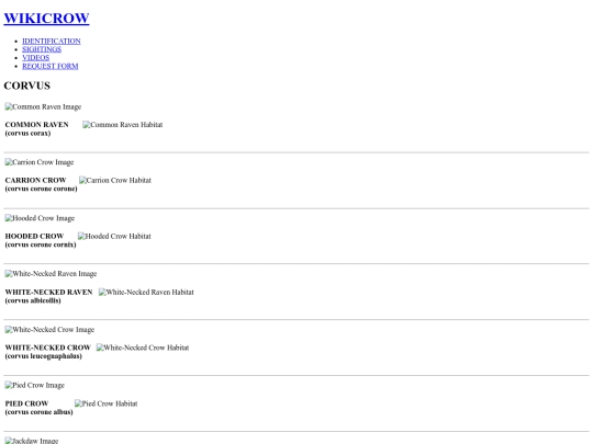 SIGHTINGS screenshot