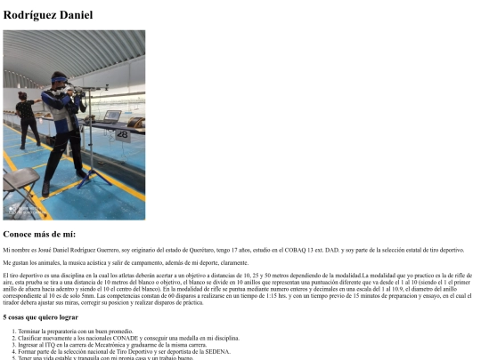 practica1css screenshot