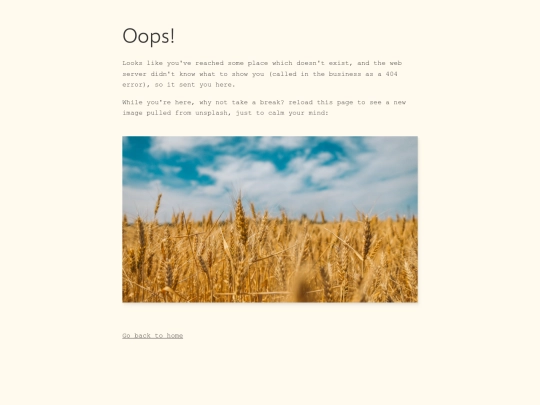 404 screenshot