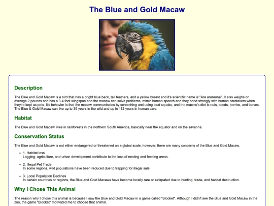WEB_DESIGN/2-CSS/Blue_Gold_Macaw screenshot