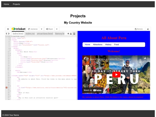 projects screenshot