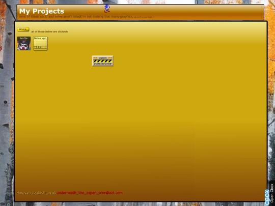 projects screenshot
