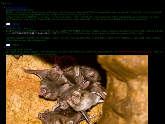 cave_paintings screenshot