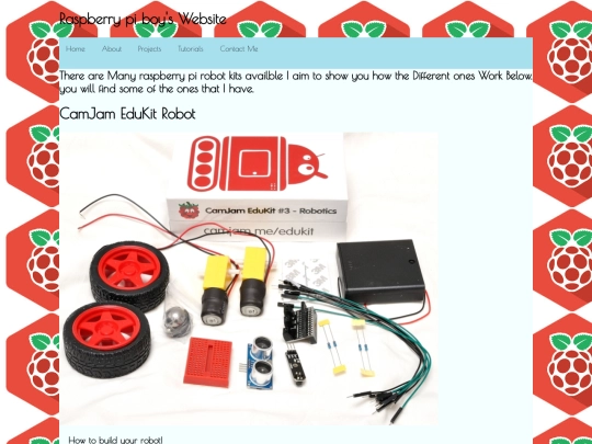 Raspberry-Pi-Robot screenshot