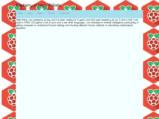 page1 screenshot