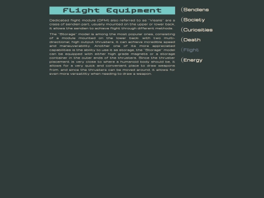 flight screenshot