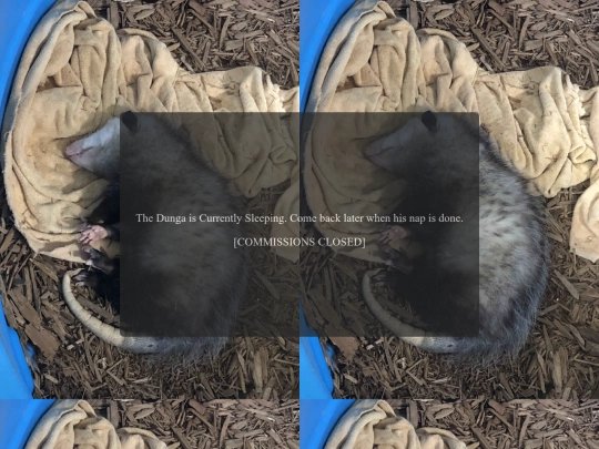 info screenshot