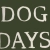 dog days avatar