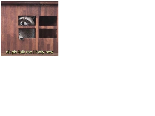 raccoon screenshot