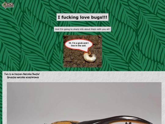 dabugs screenshot