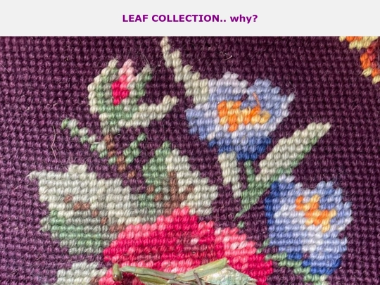 leaf_collection screenshot