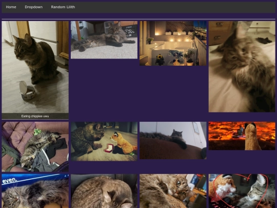 page_1 screenshot