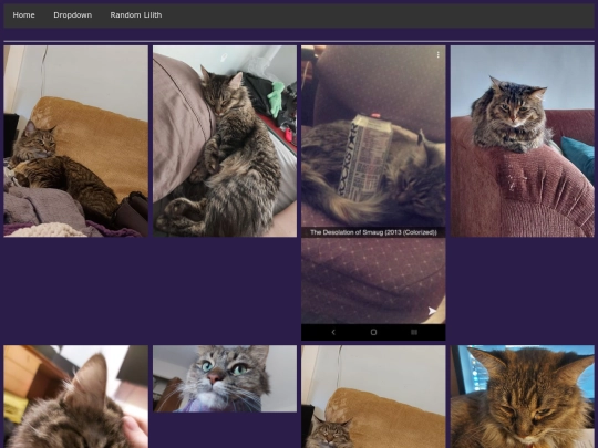 page_3 screenshot