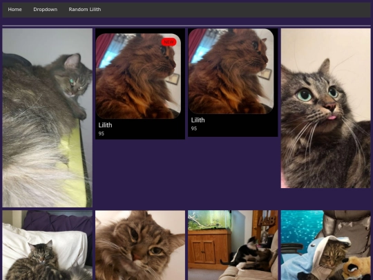page_7 screenshot