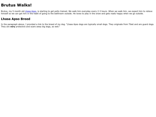 newsletter screenshot