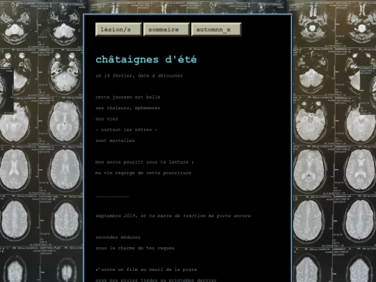 posts/2026-09-07-chataignes-d-ete screenshot