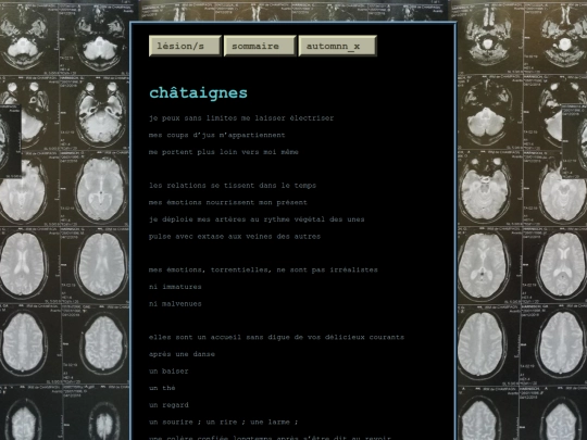 posts/2027-07-09-chataignes screenshot