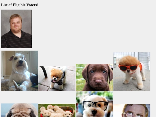 documents/voters screenshot