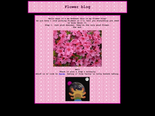 arg/flower-blog screenshot