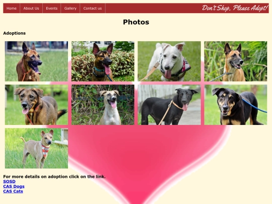 photogallery screenshot
