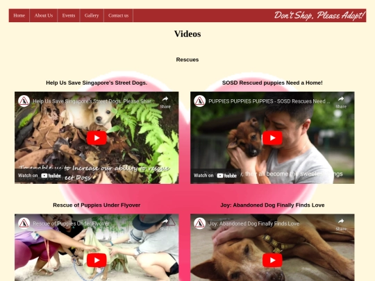 videogallery screenshot