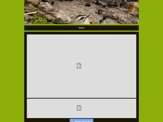 live screenshot