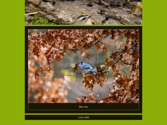 photos/20241106 screenshot