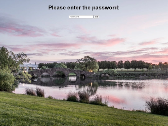 password-page screenshot
