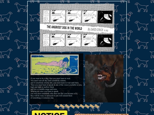dogboyblues screenshot