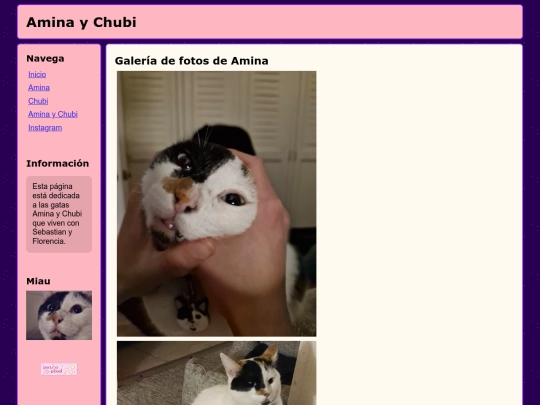 amina screenshot