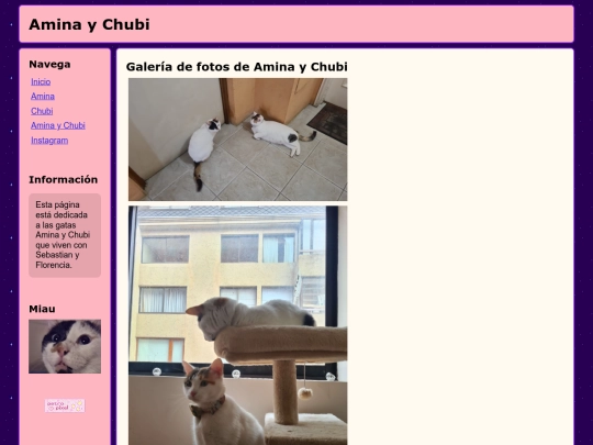 amina_y_chubi screenshot