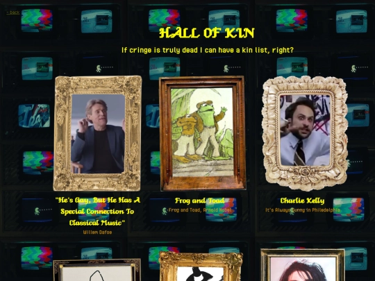media corner/kins/kins screenshot
